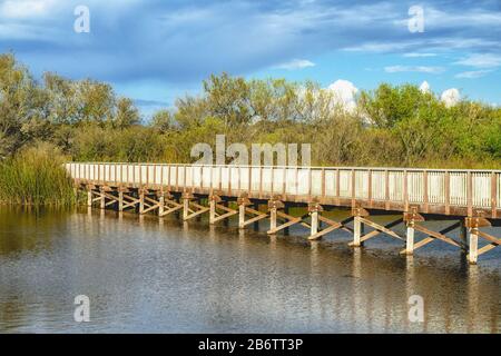 Boardwalk auf dem Oso Flaco Lake Trail im Oceano State Vehicular Recreation Area, Kalifornien Stockfoto