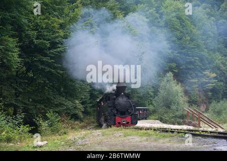 Fahrende Holzbrenner-Lok von Mocanita (Maramures, Rumänien). Lokrauch geht in den blauen Himmel. Stockfoto