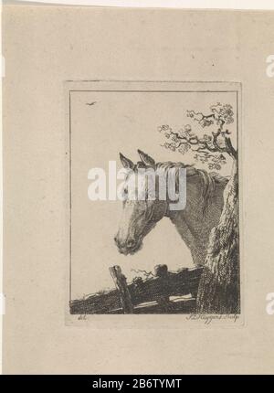 Hoofd van een Paard Head of a Horse left. Rechter Baum, unter der Spitze eines Heks. Hersteller: Druckmaschine: Frederik Lodewijk Huygens (Listed Property) entworfen von: Anonymous (Listed Property) Herstellung: Niederlande Datum: 18-11 Physikalische Merkmale: Ätzungs- und Engra-Material: Papiertechnik: Ätzung / Engra-Messung (Druckverfahren) Maße: Plattenkante: H 95 mm × 69 b mm Betreff: Pferd Stockfoto