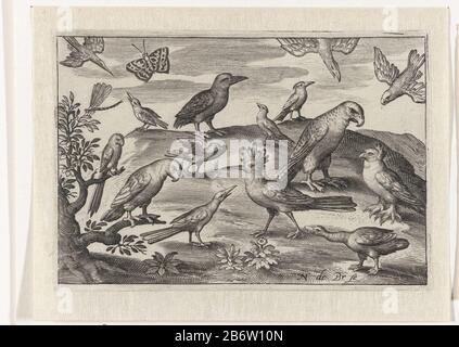 Hop en andere vogels en insecten (serietitel) Hop and other birds and insects (series title) Property Type: Picture Item Number: RP-P-1898-A-20008Catalogusreferentie: Hollstein Dutch 233Ommerking: 2 (3), drei States bekendOrn Cat I 37 A Inscriptions / Brands: Collector's, verlugt: 28 Hersteller: Printso: Printsor: 222 Nicolaes de Bruyn (denkmalgeschütztes Gebäude) in seiner Gestaltung: Nicolaes de Bruyn Verlag: Francoys von BeusekomPlaats Herstellung: Antwerpen Datum: 1594 Physikalische Merkmale: Fahrzeugmaterial: Papiertechnik: Engra (Druckverfahren) Abmessungen: Blatt: H 90 mm × W 13 Stockfoto