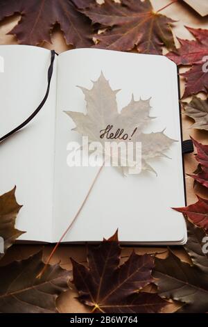 Das Wort Hallo in Notizblock und Ahorn-Blatt. Hallo Herbst Konzept Stockfoto