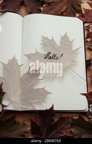 Das Wort Hallo in Notizblock und Ahorn-Blatt. Hallo Herbst Konzept Stockfoto