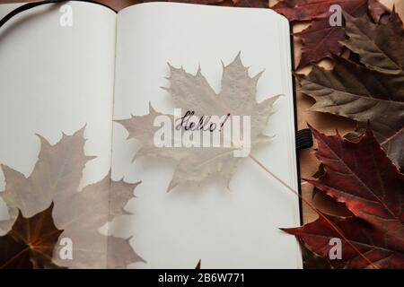 Das Wort Hallo in Notizblock und Ahorn-Blatt. Hallo Herbst Konzept Stockfoto