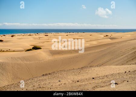 Maspalomas Sanddünen, Grand Canary Stockfoto