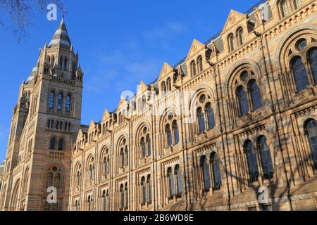 Außenfassade und Turm des Natural History Museum in South Kensington, London, Großbritannien. Der Architekt Alfred Waterhouse entwarf sie als Kathedrale. Stockfoto