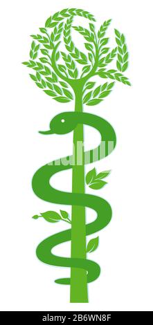 Aesulapischer Stab, Mast des Asclepius - Illustration Stockfoto