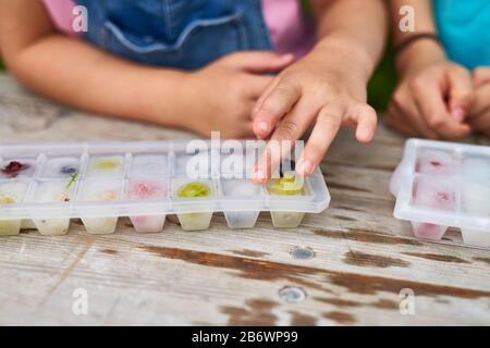 Kinder, die Lebensmittel untersuchen. Serie: Vorbereitung von Eiswürfeln mit gefrorenen Früchten. Lernen nach dem Reggio-Pädagogik-Prinzip, spielerisches Verständnis und Entdeckung. Deutschland. Stockfoto