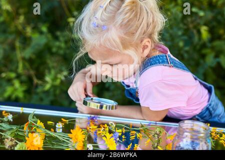 Kinder, die Lebensmittel untersuchen. Serie: Zubereitung von Blumenzehl. Trocknen geeigneter Blumen. Lernen nach dem Reggio-Pädagogik-Prinzip, spielerisches Verständnis und Entdeckung. Deutschland. Stockfoto