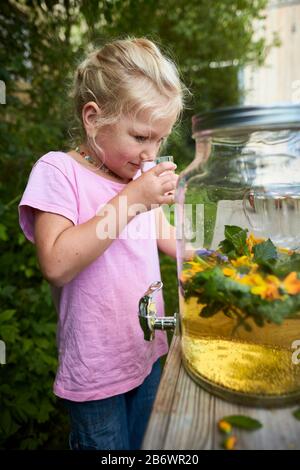 Kinder, die Lebensmittel untersuchen. Serie: Zubereitung eines Kräutergetränks. Verkostung des fertigen Getränks. Lernen nach dem Reggio-Pädagogik-Prinzip, spielerisches Verständnis und Entdeckung. Deutschland. Stockfoto