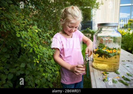 Kinder, die Lebensmittel untersuchen. Serie: Zubereitung eines Kräutergetränks. Verkostung des fertigen Getränks. Lernen nach dem Reggio-Pädagogik-Prinzip, spielerisches Verständnis und Entdeckung. Deutschland. Stockfoto