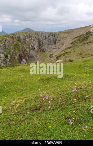 Cangas de Onis, Asturien/Spanien; 05. August 2015. Seen von Covadonga im Nationalpark Picos de Europa. Die Leute, die auf den verschiedenen Routen spazieren gehen, stehen zur Verfügung Stockfoto