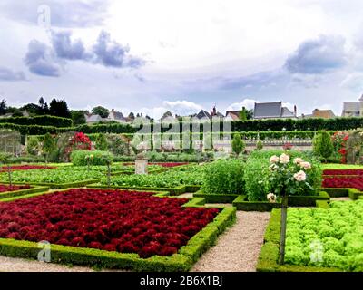 Das Chateau de Villandry ist ein herrliches Landhaus in der Loire-Region, das vor allem für seinen fabelhaften Garten bekannt ist. Stockfoto