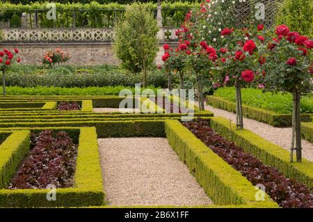 Das Chateau de Villandry ist ein herrliches Landhaus in der Loire-Region, das vor allem für seinen fabelhaften Garten bekannt ist. Stockfoto