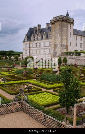 Das Chateau de Villandry ist ein herrliches Landhaus in der Loire-Region, das vor allem für seinen fabelhaften Garten bekannt ist. Stockfoto