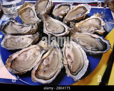 Cancale, die Austernhauptstadt der Bretagne, Frankreich, versorgt die Franzosen mit diesen sehr köstlichen Meeresfrüchten. Stockfoto