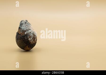 Bild eines faulen Avocado mit Schimmel auf hellgelbem Hintergrund. Lebensmittelkonzept Stockfoto