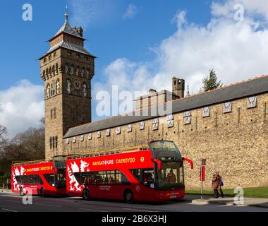 Rote Doppeldecker-Tour-Busse vor Cardiff Castle, Cardiff, South Wales, Großbritannien am Clock Tower Stockfoto