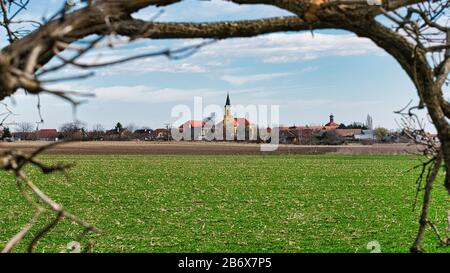 Das Dorf Velky Biel in der Slowakei ist über grüne Felder mit Kirchturm und ländlicher Skyline von Ästen umgeben. Stockfoto