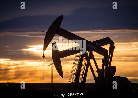 Zwei Pumpenkäppchen, die Öl aus zwei Ölquellen außerhalb von Williston in North Dakota pumpen. Das Gebiet gehört zum Bakken-Ölfeld, wo die Fracking-Technologie es profitabel machte, solange der Ölpreis über 46 USD pro Barrel bleibt. Stockfoto