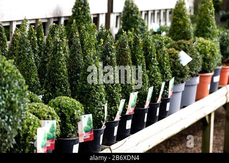 Allgemeine Ansichten von Brick Kiln Garden Center, Chichester, West Sussex, Großbritannien. Stockfoto