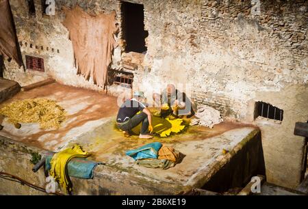 Arbeiter färben Leder von Hand in den Tanners Quarter von Fes, Marokko Stockfoto