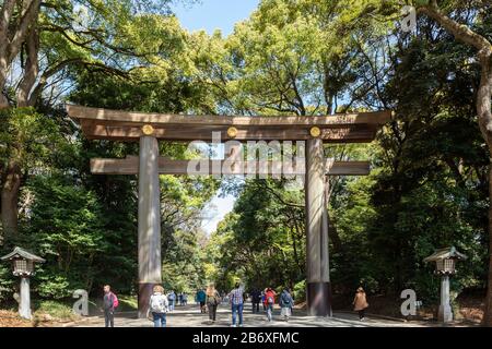 Torii am Eingang zum Park um Meiji Jingu, Shinjuku, Tokio, Japan. Stockfoto