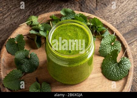 Ein Krug Pesto aus jungen Blättern Knoblauchsenf - eine wilde essbare Pflanze, die im Frühjahr gesammelt wurde Stockfoto