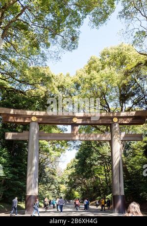 Torii am Eingang zum Park um Meiji Jingu, Shinjuku, Tokio, Japan. Stockfoto