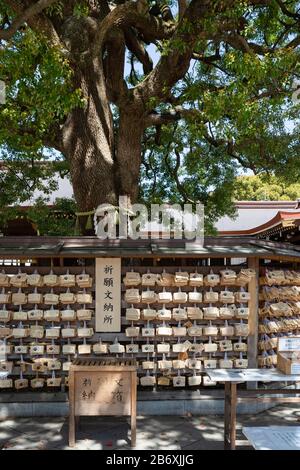 EMA, kleine Holzplaketten, auf denen Shinto und buddhistische Anbeter gebeten oder Wünsche schreiben. Meiji Jingu, Shinjuku, Tokio, Japan. Stockfoto