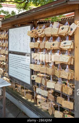 EMA, kleine Holzplaketten, auf denen Shinto und buddhistische Anbeter gebeten oder Wünsche schreiben. Meiji Jingu, Shinjuku, Tokio, Japan. Stockfoto