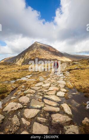 Der Steinpfad, der von Llyn Idwal in Richtung Pen yr Ole Wen in Snowdonia, Nordwales, führt Stockfoto