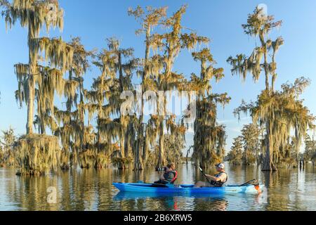 USA, Deep South, Louisiana, St. Martin Parish, Lake Martin, Stockfoto