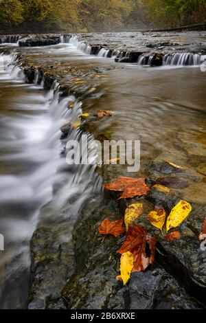 USA, Deep South, Tennessee, Die Burgess Falls sind ein Kaskadenwasserfall am Falling Water River, der sich im Burgess Falls State Park in Putnam befindet Stockfoto