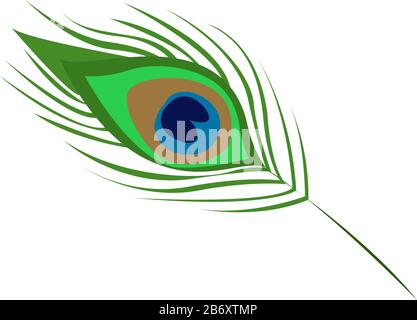 Pfauenfeatheer, Abbildung, Vektor auf weißem Hintergrund. Stock Vektor