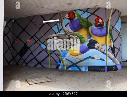 Graffiti in Darwin, Northern Territory, Australien Stockfoto