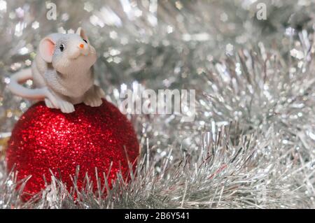 Spielzeugratte auf rotem Weihnachtsball dicht oben auf glänzendem silbernem Hintergrund mit Bokeh. Das Jahr der Ratte ist 2020 nach dem östlichen Kalender Stockfoto