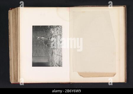 Kangoeroe traf ein Baby in Haar-Buidel in een dierentuin EINEM Känguru (Macropus giganteus) (Titel-Objekt) Känguru mit einem Baby in ihrer Tasche in einem DierentuinA Känguru (Macropus giganteus.) (Titel-Objekt) Immobilientyp: Fotomechanische Druckseite Artikelnummer: RP-F-27 Beschriftung: Beschriftung auf der Vorderseite: Beschriftung / Beschriftung: 4000-7: Beschriftung / 407 "Ein weibliches Tier mit dem jungen Tier, das aus der Tasche reizt." Hersteller: Fotograf: J. Fortuné Nottklischeemaker: Anonymer Drucker: J. & A. Lemercierplaats Herstellung: Paris Datum: CA. - oder für das Jahr 1883Er Material: Papiertechnik: Lichtdruck dimmsio Stockfoto