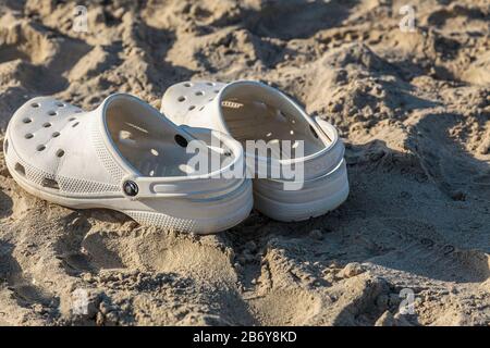 Strandszene - Weiße Krähe am Strand Stockfoto