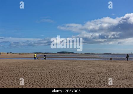 Hundegänger am Strand von Monifieth, wenn die Flut an einem Frischen sonnigen Tag im März draußen ist. Stockfoto