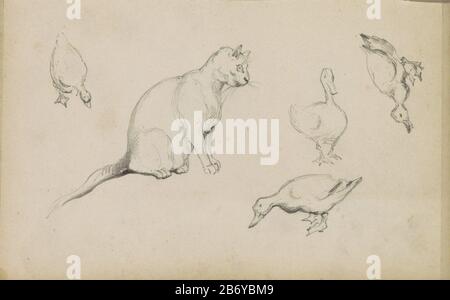 Kat en eenden Katze und Enten Objektart: Skizzenblatt Artikelnummer: RP-T 1994-23-40 (R) Beschreibung: Blatt 40 recto aus einem Skizzenblatt mit 73 bladen. Hersteller : Illustrator John Tavenraat dating: 1832-1872 Physikalische Merkmale: Bleistift-Material: Bleistift-Thema: Katwasser-Vögel: Ente Stockfoto