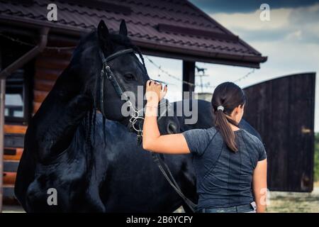 Frau zart ein Pferd sanft auf den Kopf und schaut weg Stockfoto