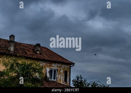 Vogel, der an einem übergiebelten Tag über einem verlassenen Haus mit Bäumen vor dem Haus fliegt Stockfoto