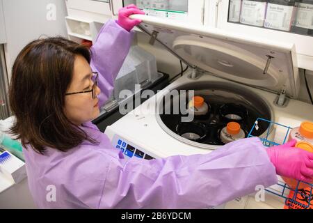 Misook Choe, Laborleiter bei der Aufstrebenden Infektionskrankheit am Walter Reed Army Institute of Research, arbeitet an einer Lösung für Coronavirus. Stockfoto