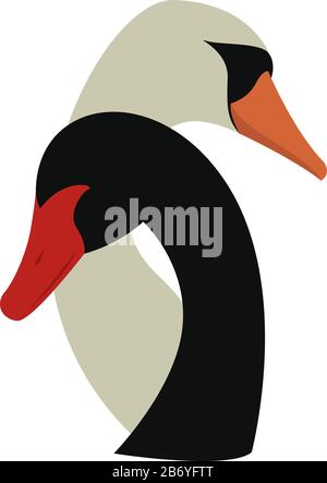 Schwarzer und weißer Schwan, Abbildung, Vektor auf weißem Hintergrund. Stock Vektor