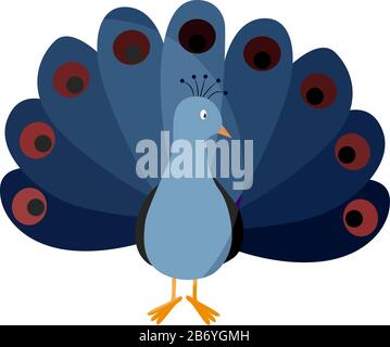 Blauer Pfau, Illustration, Vektor auf weißem Hintergrund. Stock Vektor