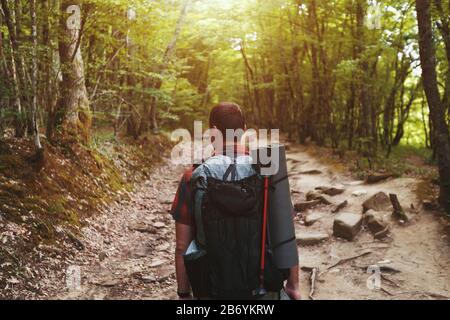 Ein Reisender mit Rucksack im Quellwald auf dem Weg blickt nach vorne. Sonnenlicht durch die Kronen von Bäumen. Reise durch die Berge und das f Stockfoto