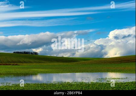 Sonnenlicht-Beleuchtung, die Sturmwolken über sanften Hügeln des Baskett Slough National Wildlife Refuge Zurückzieht Stockfoto