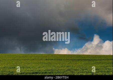 Eine minimalistische Landschaft aus dunklen und weißen Wolken mit Flecken blauen Himmels schwebt über einem Hügel mit Getreide Stockfoto