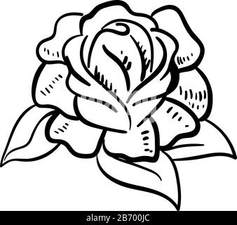 Rose Zeichnung, Illustration, Vektor auf weißem Hintergrund. Stock Vektor