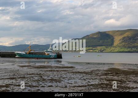 Ebbe Frühling Abend Carlingford Hafen, Sonne untergeht hinter Carlingford, aber scheint auf Kilbroney Berg Nordirland auf der anderen Seite des lough. Stockfoto